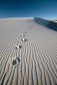 White Sands, New Mexico