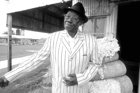Pinetop Perkins, blues musician